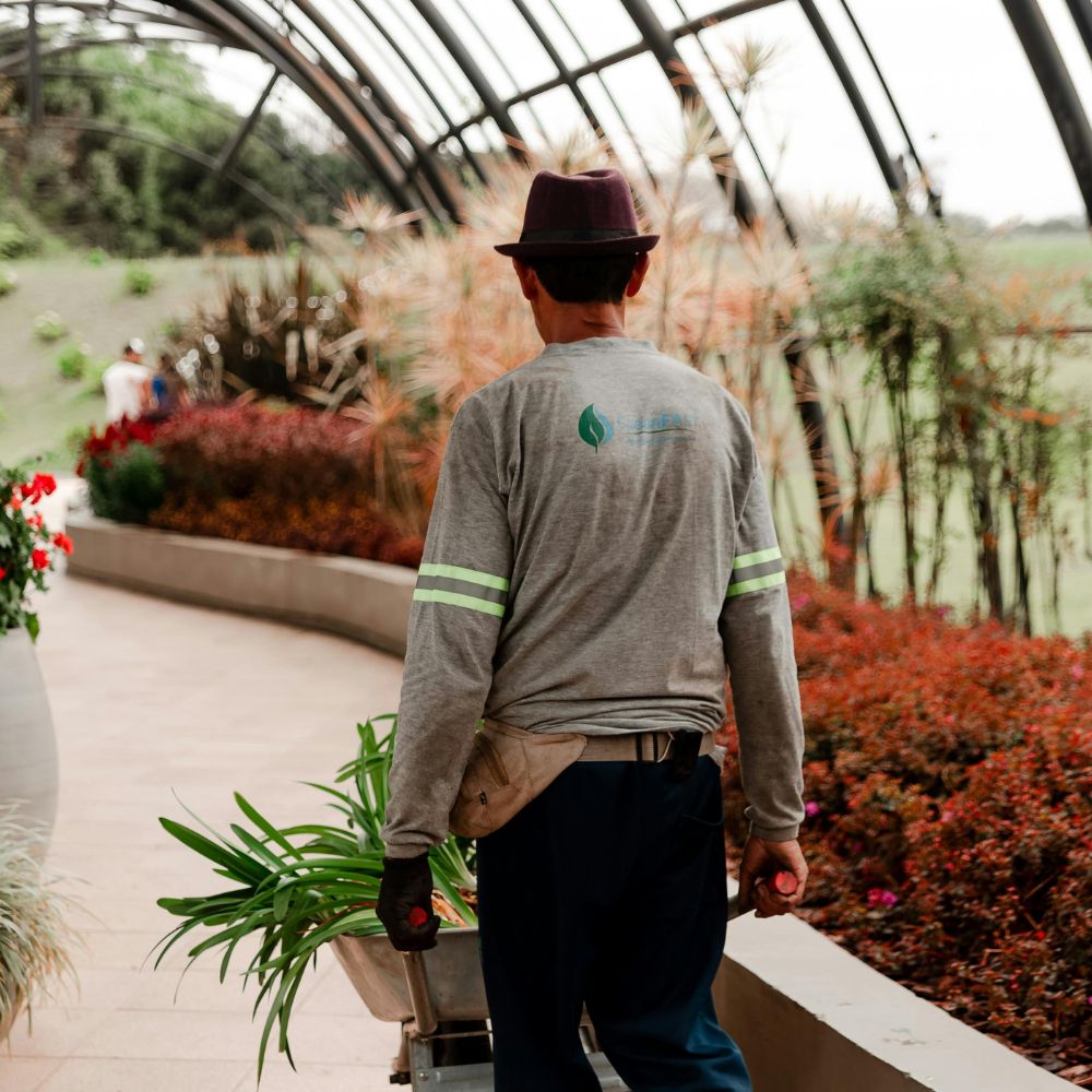 Gardening and landscaping services in Khalifa City Abu Dhabi